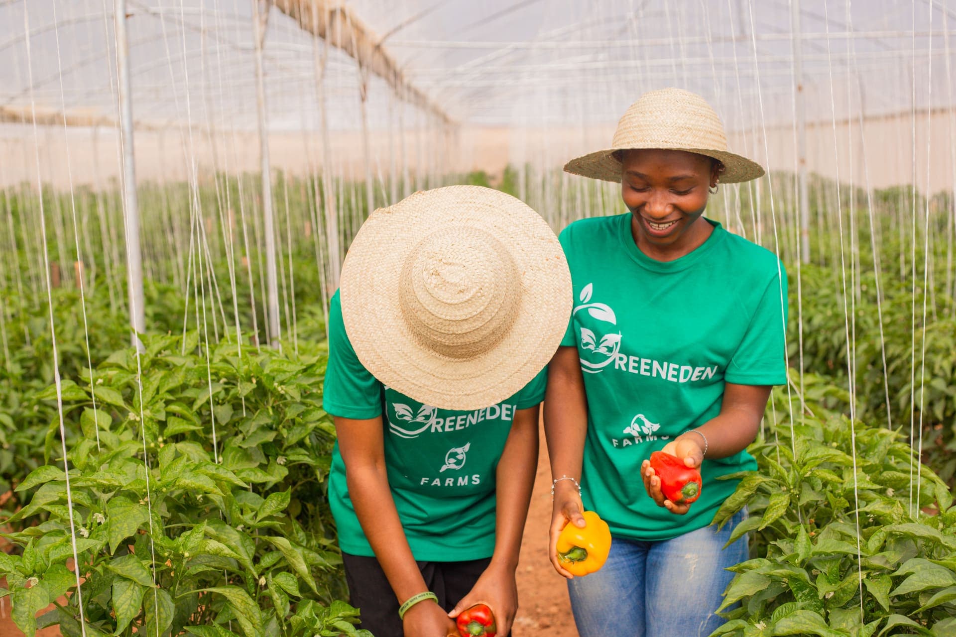 High-quality crops, all year round